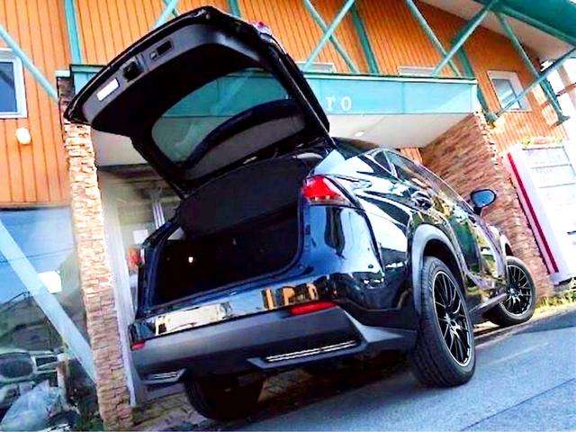 Lexus NX 9