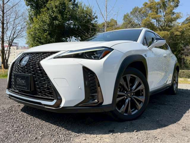 Lexus UX 12