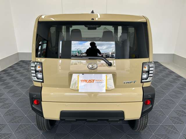 Daihatsu Taft 8