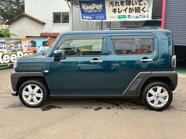 Daihatsu Taft 11