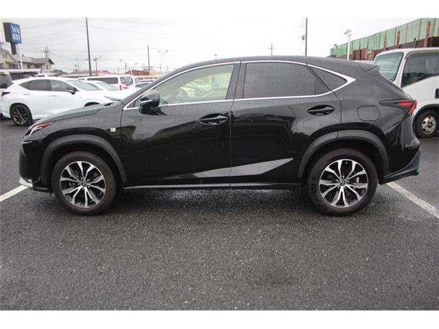 Lexus NX 11