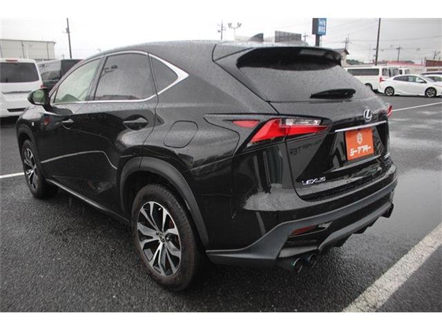 Lexus NX 12