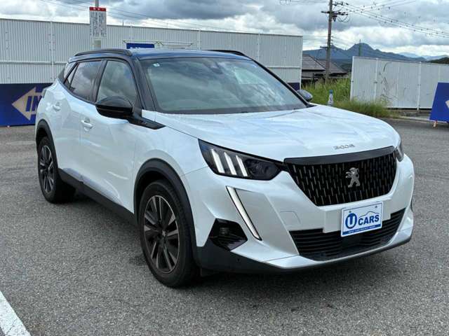 Peugeot SUV 2008 7