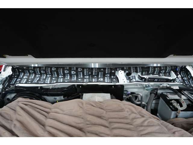 Toyota Land Cruiser 250 6