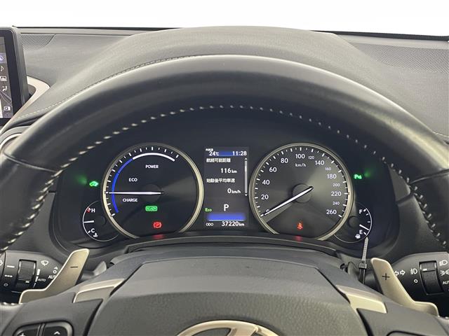 Lexus NX 12