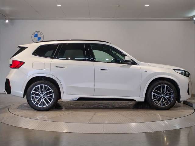 BMW X1 10