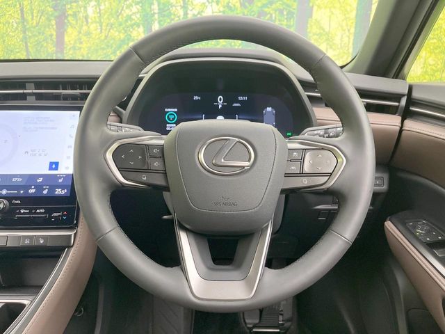 Lexus LBX 11