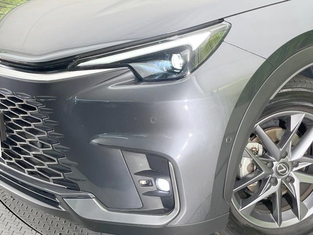 Lexus LBX 12