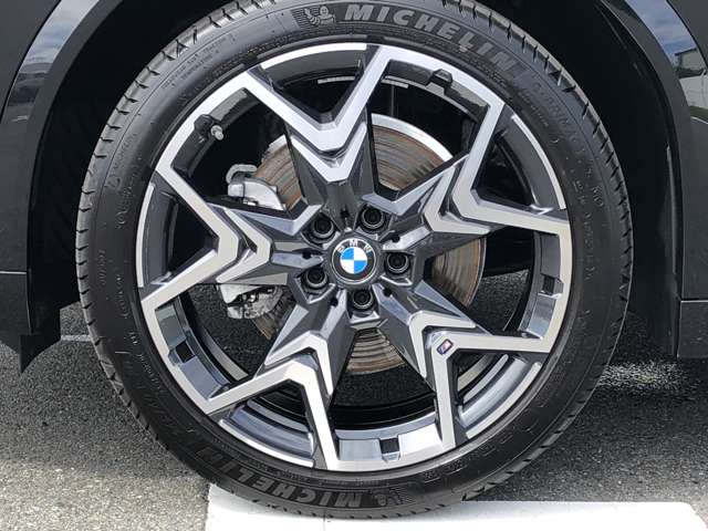 BMW X2 11