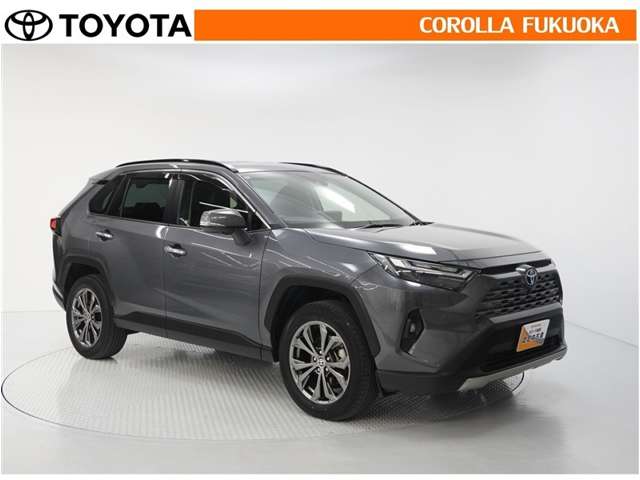 Toyota RAV4 9