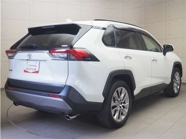 Toyota RAV4 7