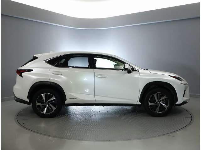 Lexus NX 11