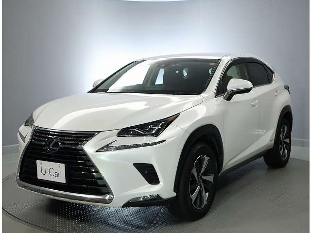 Lexus NX 8