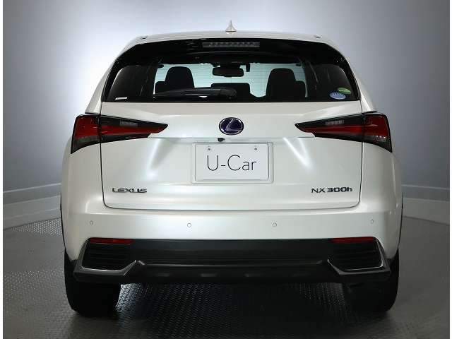 Lexus NX 9