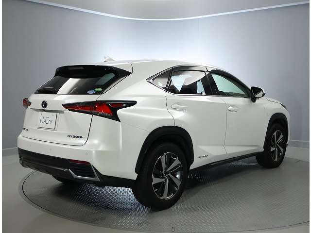Lexus NX 10