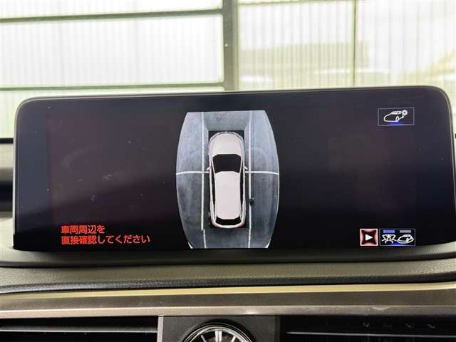 Lexus RX 12