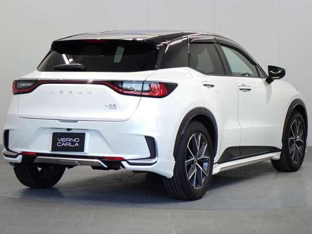 Lexus LBX 9