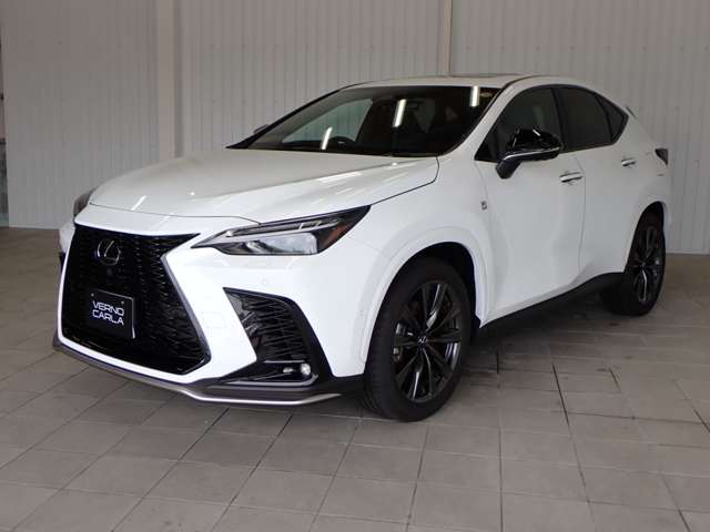 Lexus NX 11