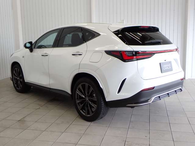 Lexus NX 12