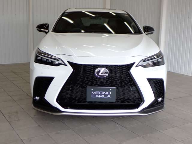 Lexus NX 10