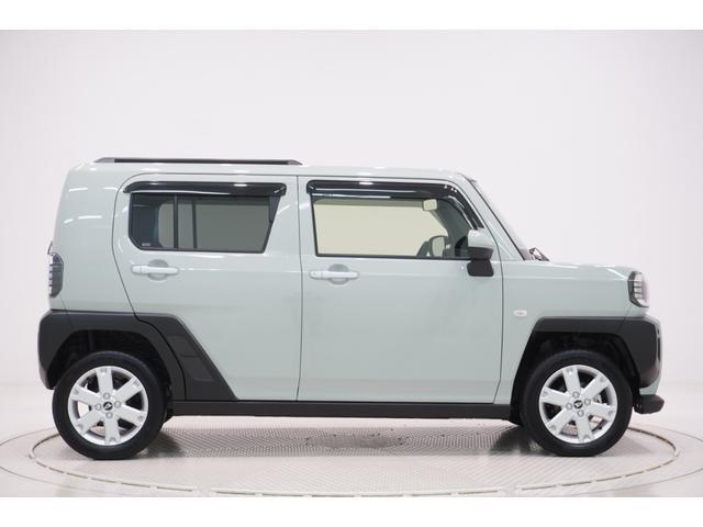 Daihatsu Taft 6