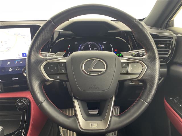 Lexus NX 12