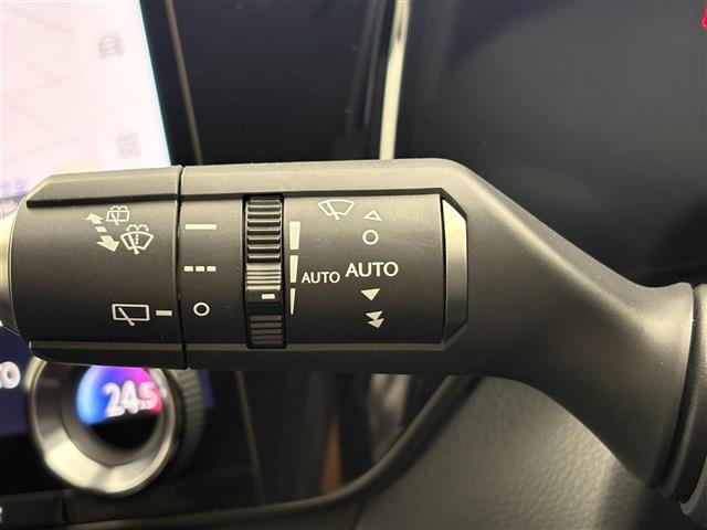 Lexus NX 11
