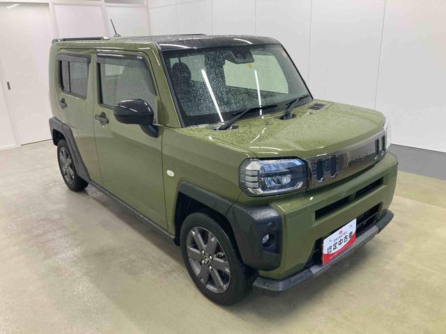 Daihatsu Taft 6