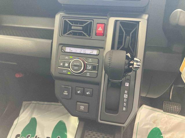 Daihatsu Taft 11