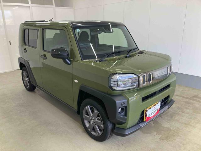 Daihatsu Taft 6