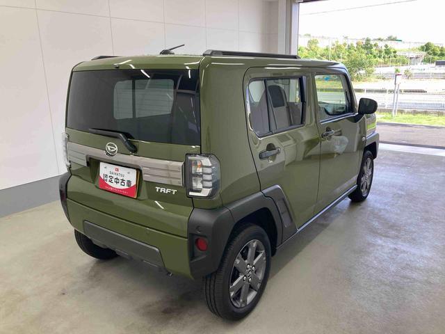 Daihatsu Taft 8