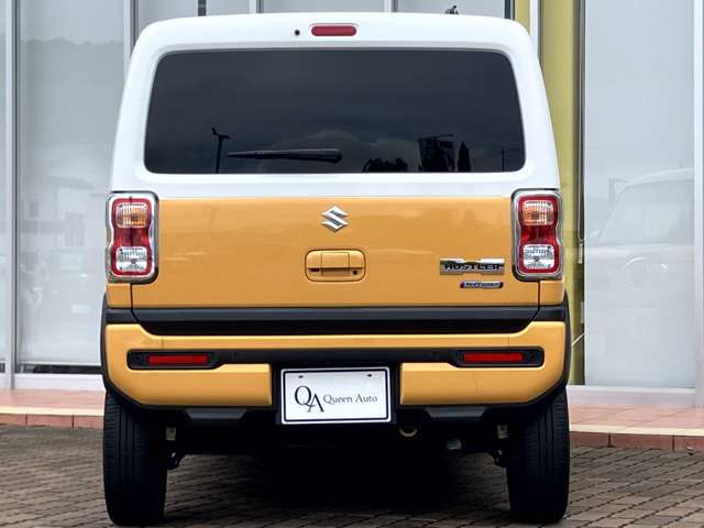 Suzuki Hustler 10
