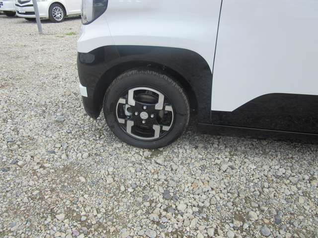 Mitsubishi Delica Mini 10