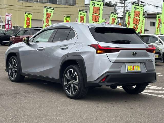 Lexus UX 11