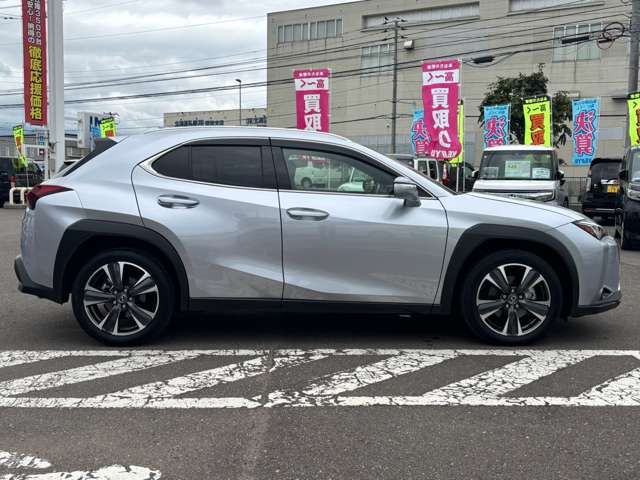 Lexus UX 12