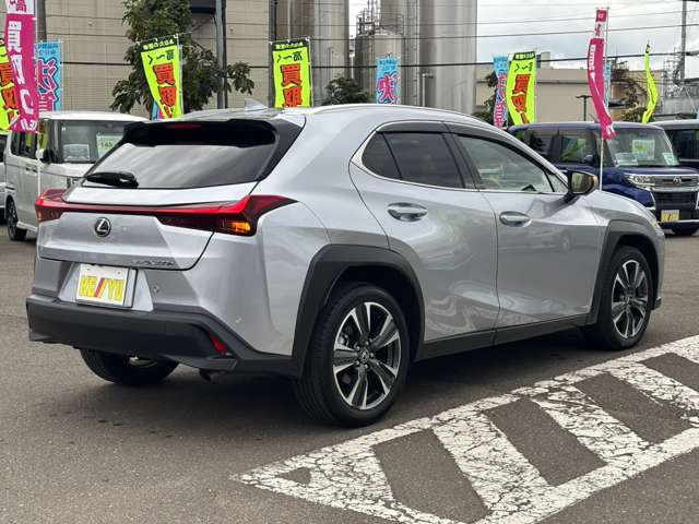Lexus UX 6