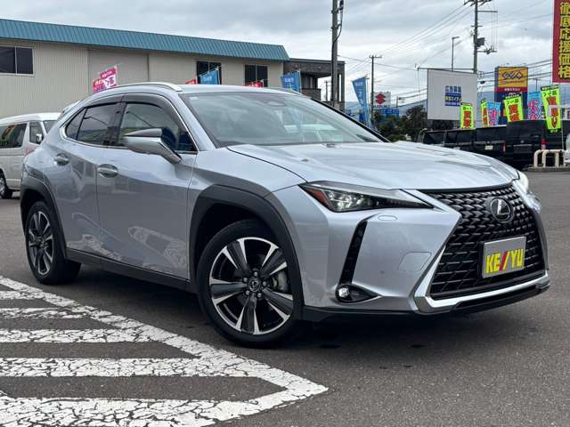 Lexus UX 8