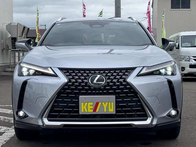 Lexus UX 9