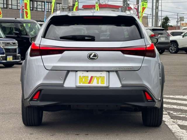 Lexus UX 10
