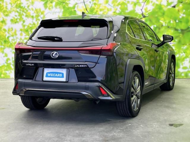 Lexus UX 6