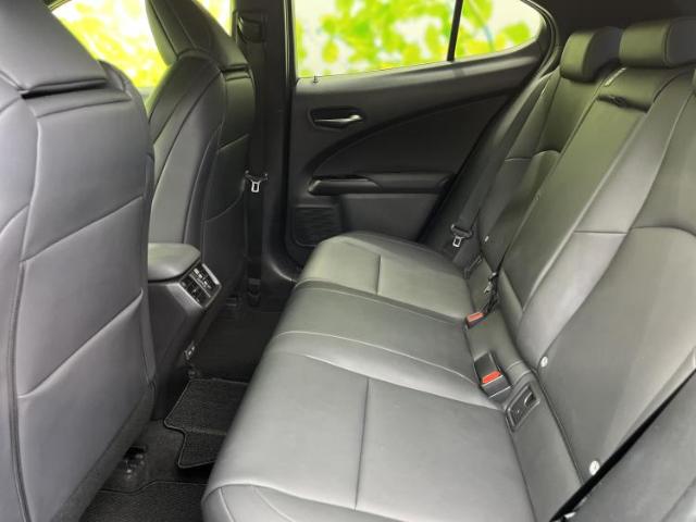 Lexus UX 9