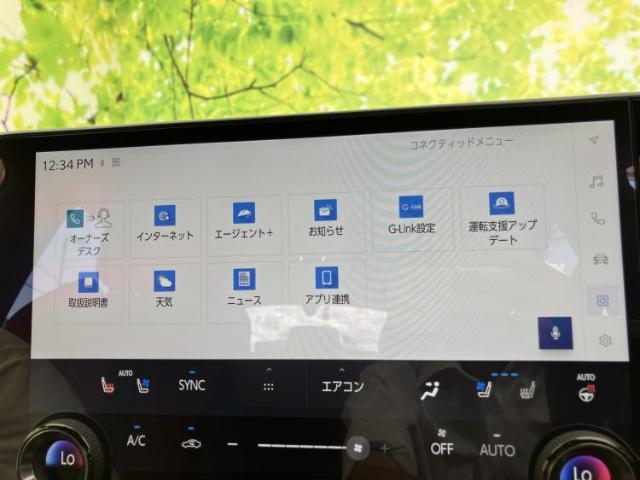 Lexus NX 4