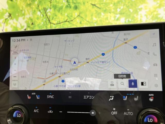 Lexus NX 10