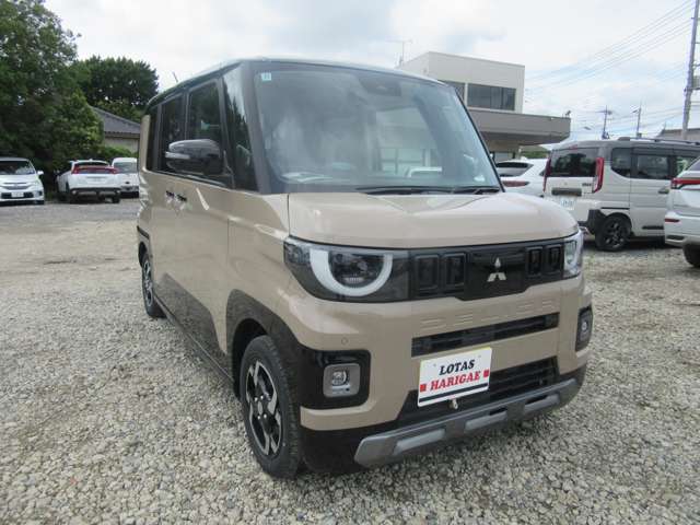 Mitsubishi Delica Mini 5
