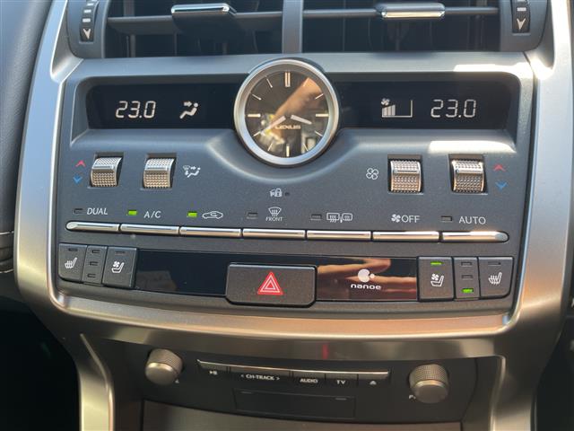 Lexus NX 11