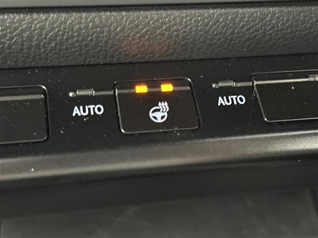 Lexus UX 12