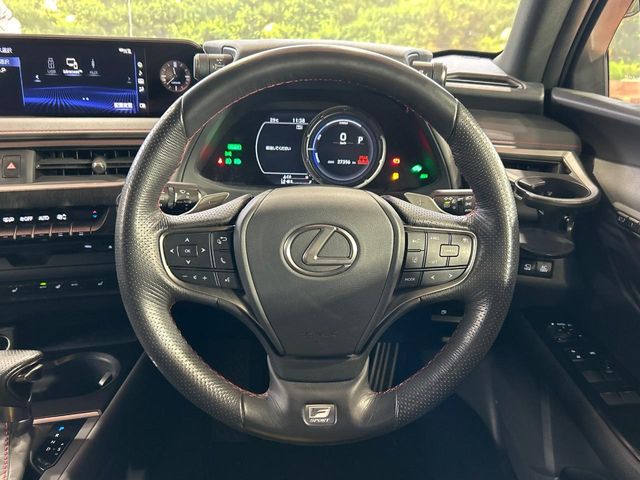 Lexus UX 12