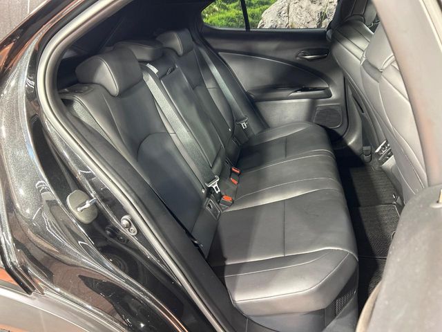 Lexus UX 10
