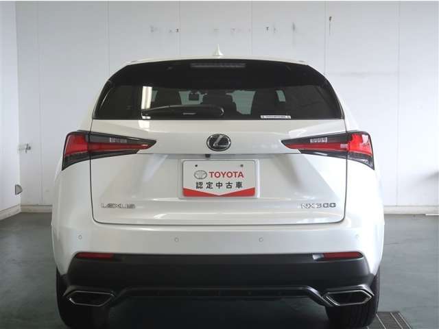 Lexus NX 5