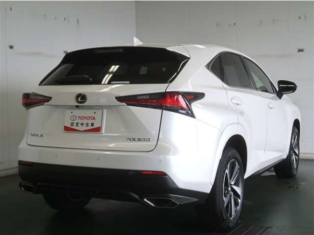 Lexus NX 6